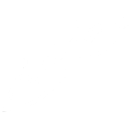 site-pictoblanc-progressionequipe