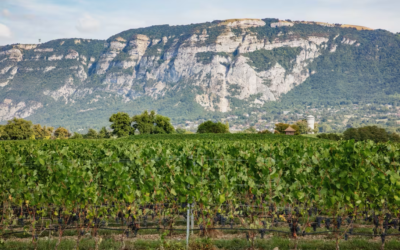 26 septembre – L’agriculture de conservation des sols